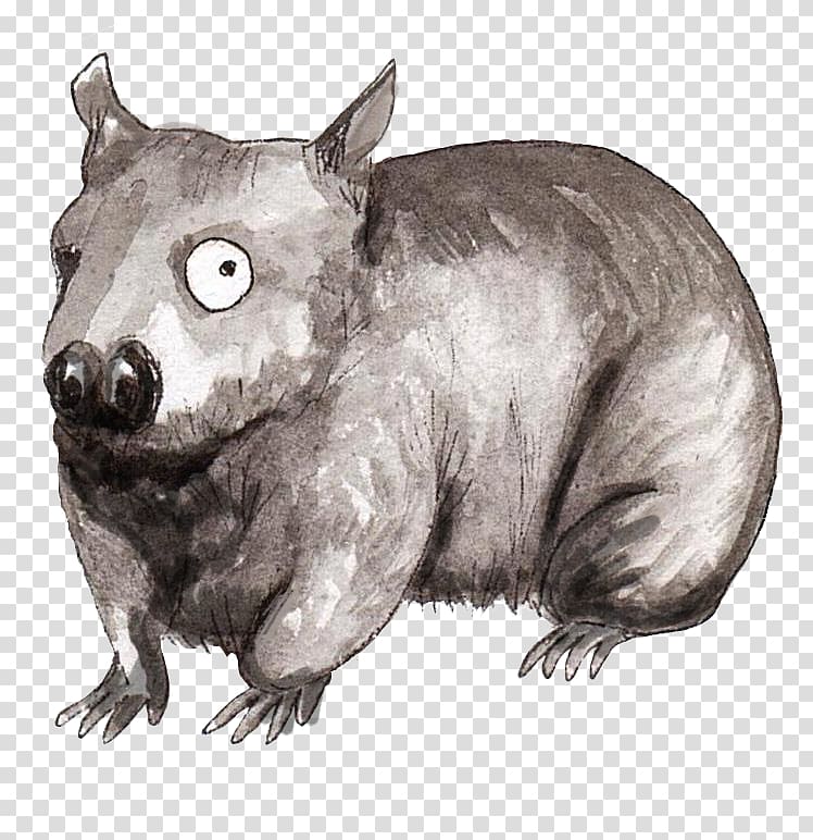 Rat /m/02csf Drawing Wombat, rat transparent background PNG clipart