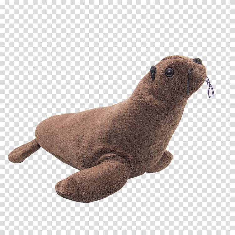 Sea lion Harbor seal Pinniped Terrestrial animal, harbor seal transparent background PNG clipart