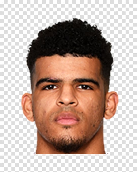 Dominic Solanke Liverpool F.C. England national football team Sport Moustache, Hirving Lozano transparent background PNG clipart