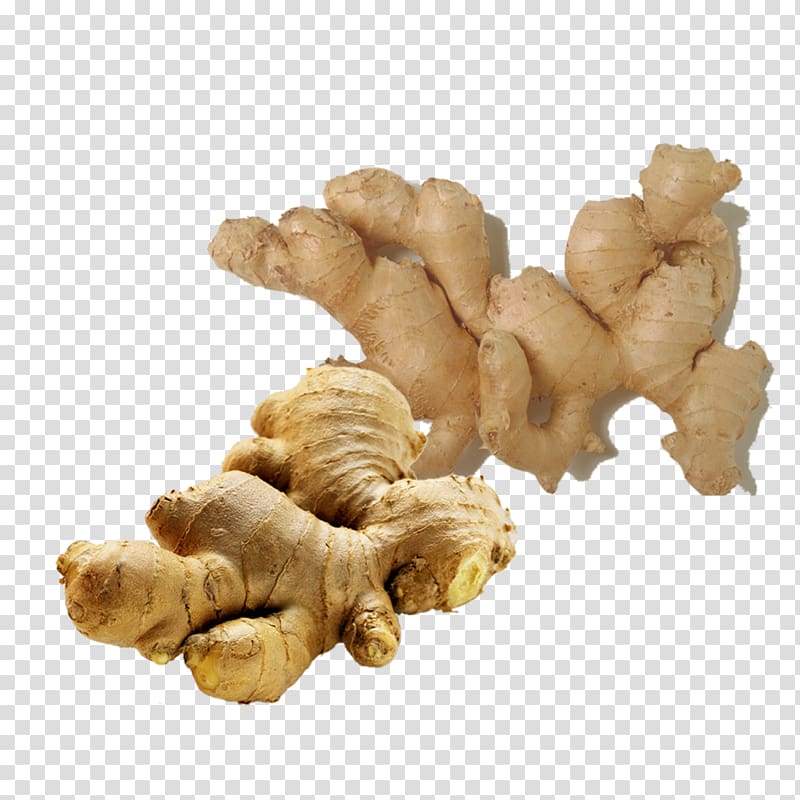 Ginger Essential oil Distillation Food, Ginger transparent background PNG clipart