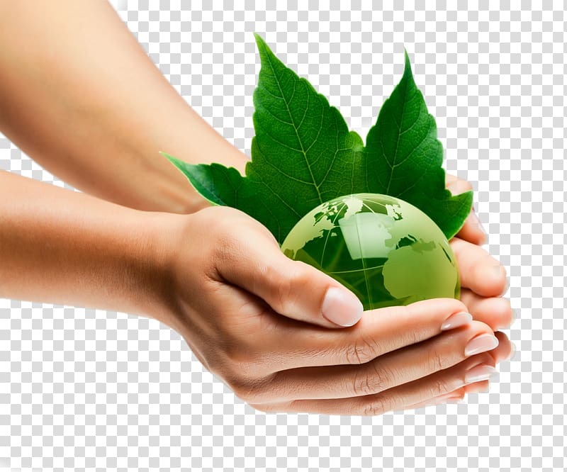 person holding plant, Environmental resource management Natural environment Sustainable development Sustainability Organization, Holding green earth transparent background PNG clipart