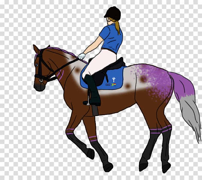 Hunt seat Mane Horse Bridle Stallion, horse transparent background PNG clipart