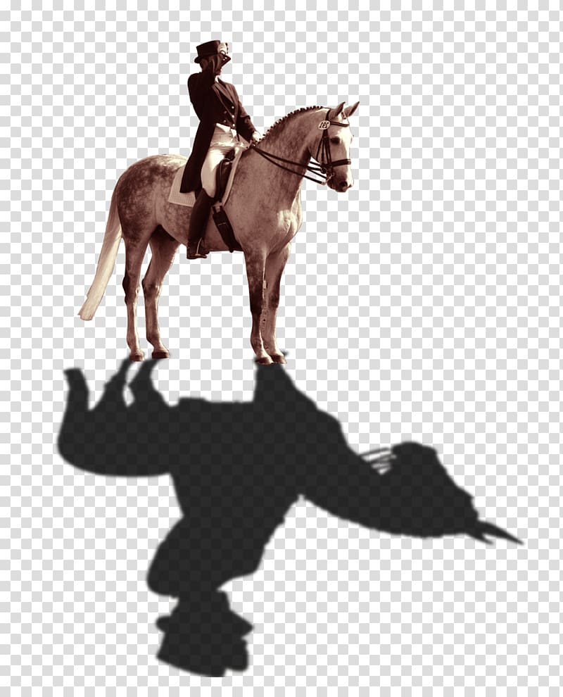 Horse Computer file, knight transparent background PNG clipart