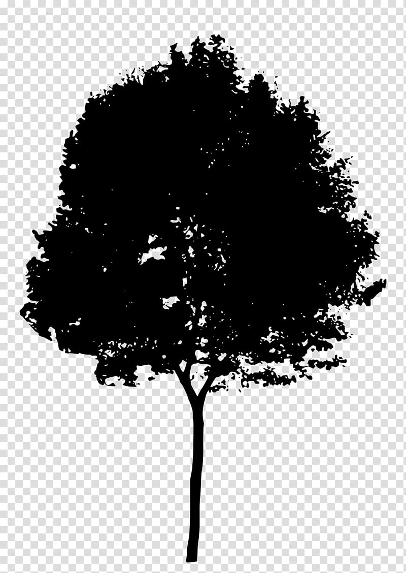 Tree Silhouette , love tree transparent background PNG clipart