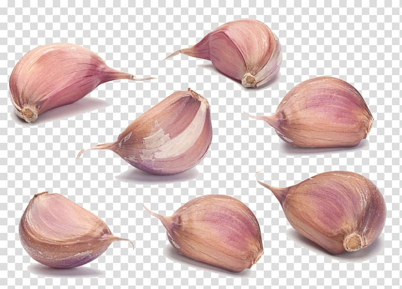 Garlic Onion Sauce Condiment, garlic transparent background PNG clipart