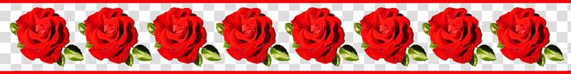 eight red rose flowers illustration, Rose Pink flowers , Red roses border transparent background PNG clipart