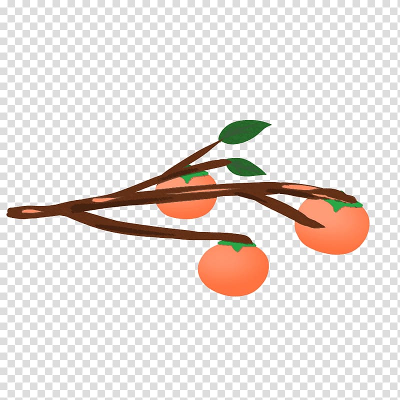 Japanese Persimmon Fruit Illustration Graphics Common Persimmon, transparent background PNG clipart