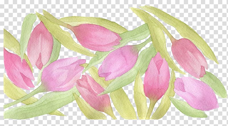 Tulip Watercolor painting, Tulip Shading transparent background PNG clipart