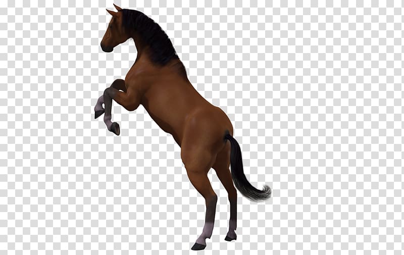 Horse 3D computer graphics Mane , Horse pattern horse painted transparent background PNG clipart