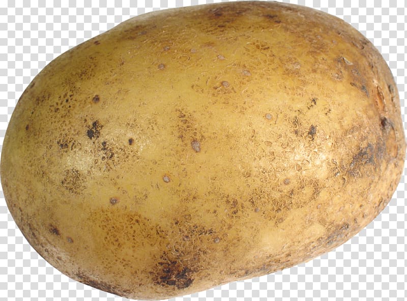 Potato transparent background PNG clipart