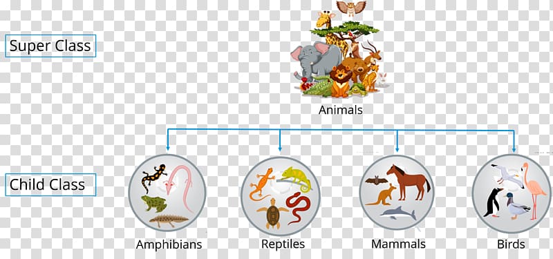 Inheritance Object-oriented programming Class Java, Java Object Oriented Querying transparent background PNG clipart