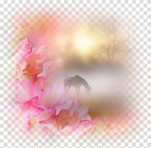 Horse Desktop Unicorn, Mask health transparent background PNG clipart