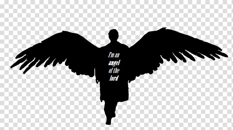 Castiel Dean Winchester Sam Winchester Crowley Angel, angel transparent background PNG clipart