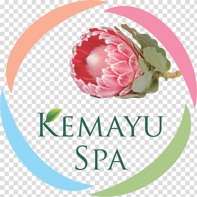 Kemayu Spa Day spa Beauty Parlour Hillcrest, KwaZulu-Natal, health spa transparent background PNG clipart