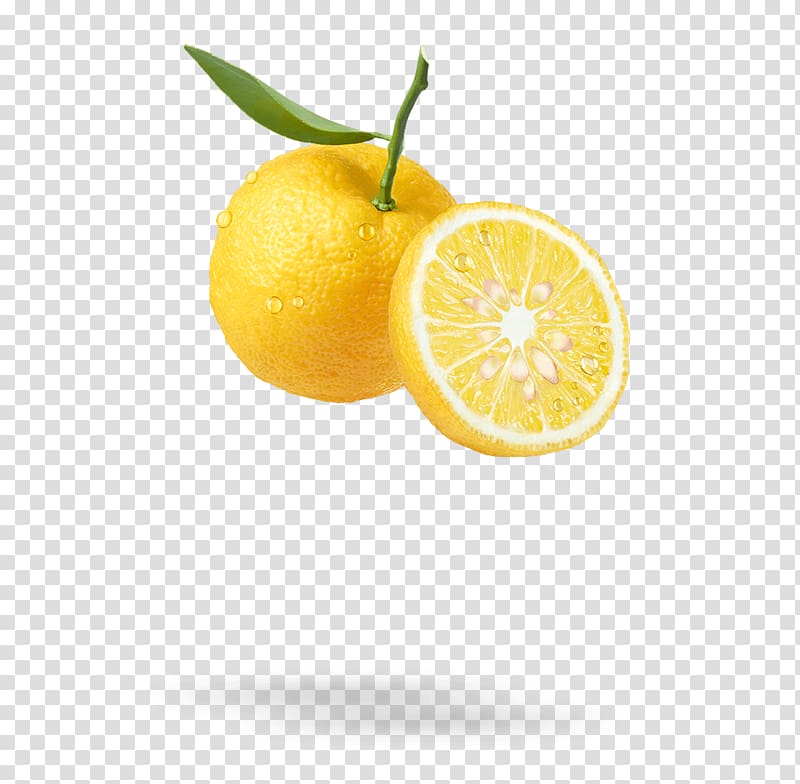 Citrus junos Fruit Lemon Hair Clementine, citrus transparent background PNG clipart
