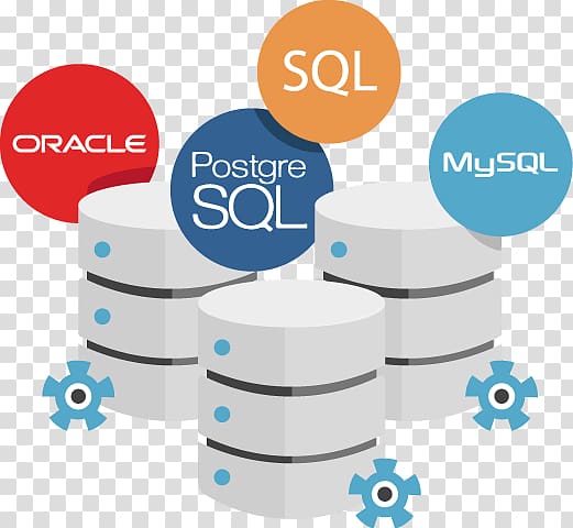 Web development Software development Database Software Developer Oracle SQL Developer, Business transparent background PNG clipart