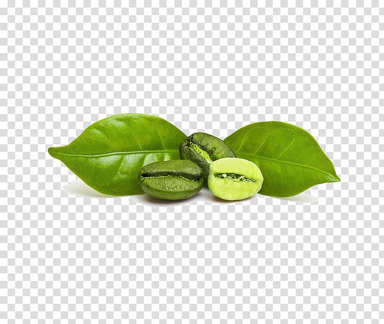 Green coffee extract Coffee bean Espresso, Coffee transparent background PNG clipart