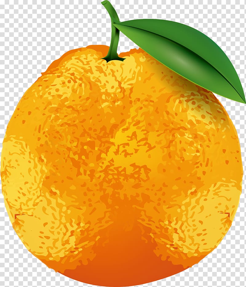 Clementine Tangerine Tangelo, Hand painted yellow pear leaves transparent background PNG clipart