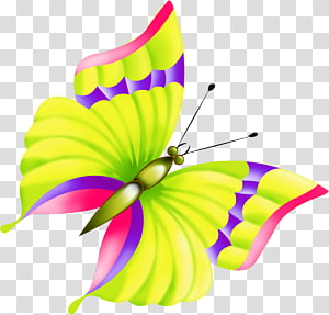Butterfly , butterfly transparent background PNG clipart thumbnail