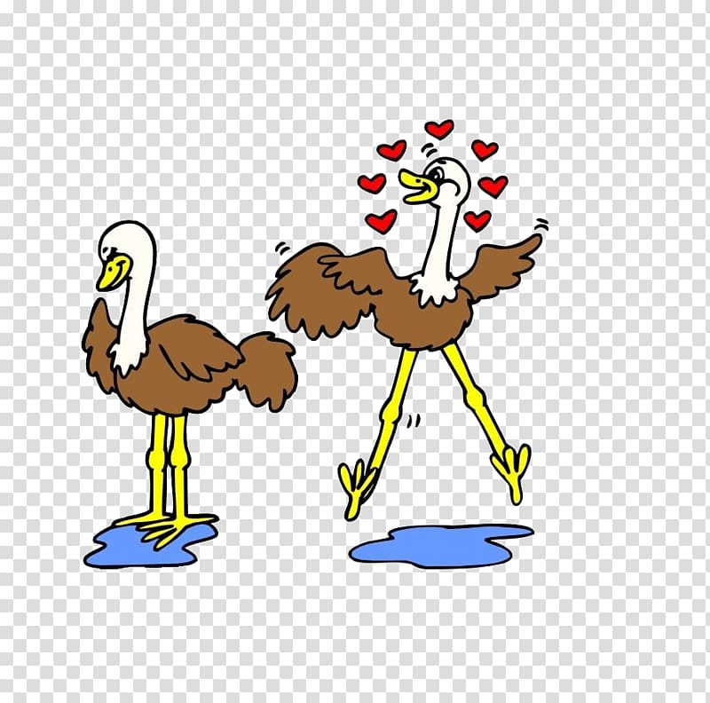 Common ostrich Bird Windows Metafile , Two in love ostrich transparent background PNG clipart