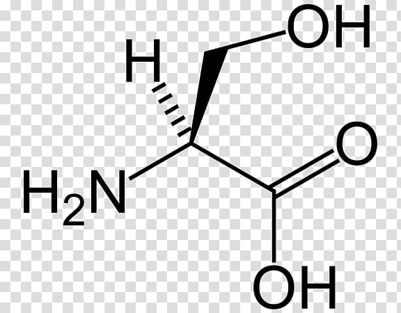 Serine Valine Proteinogenic amino acid Tyrosine, others transparent background PNG clipart