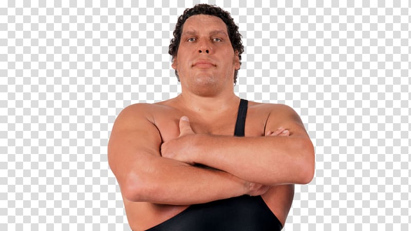 André the Giant Professional Wrestler Professional wrestling WWE Acromegaly, others transparent background PNG clipart