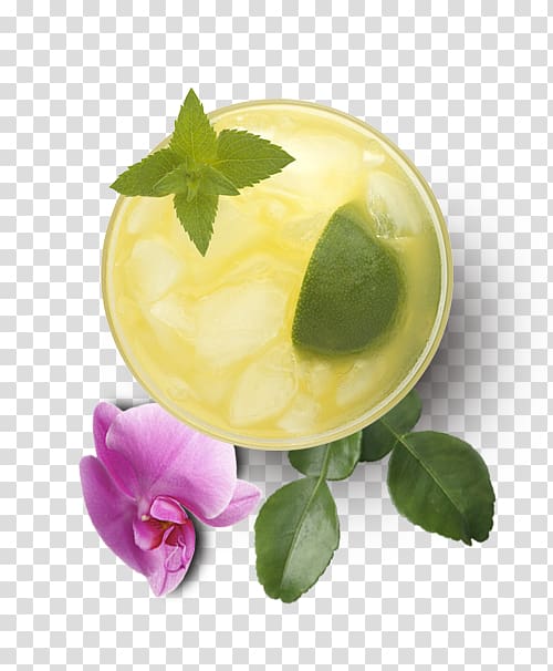 Garnish Flavor Orchidea, guava juice transparent background PNG clipart