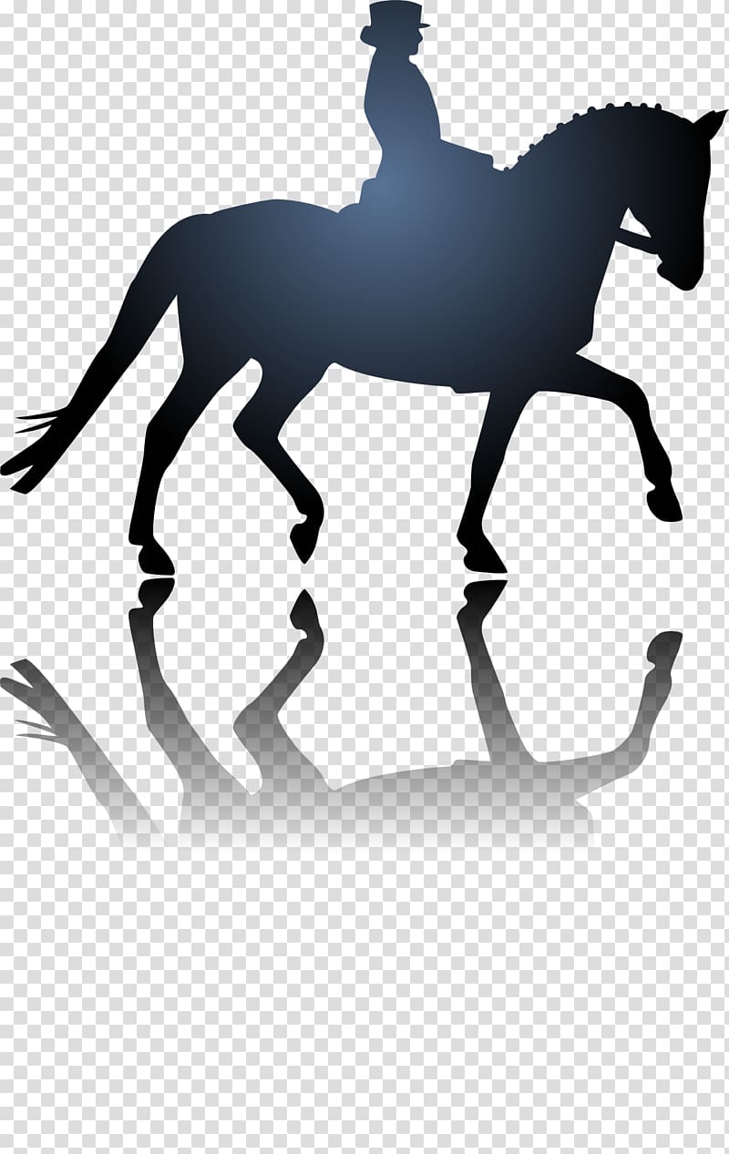 Equestrian Horse Dressage Stencil, horse riding transparent background PNG clipart