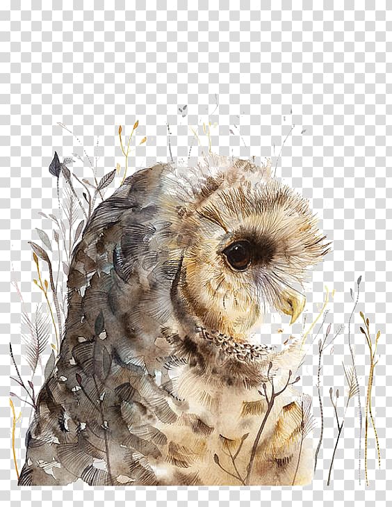 brown owl portrait , Owl Watercolor painting Art, Watercolor painted owl transparent background PNG clipart