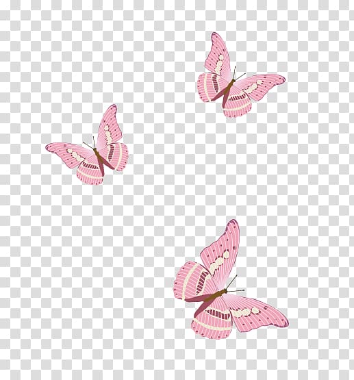 Elements, Hong Kong Pink, butterfly transparent background PNG clipart