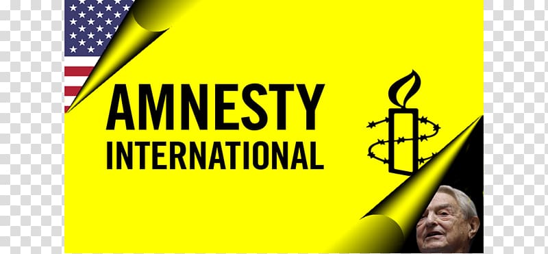 Amnesty International New Zealand Amnesty International New Zealand Amnesty International USA Human rights, others transparent background PNG clipart