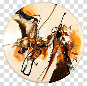 Insect, insect transparent background PNG clipart thumbnail