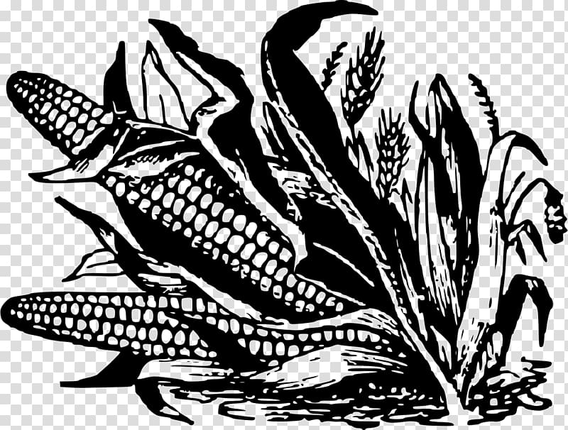 Corn on the cob Maize Black and white Corn fritter , corn transparent background PNG clipart