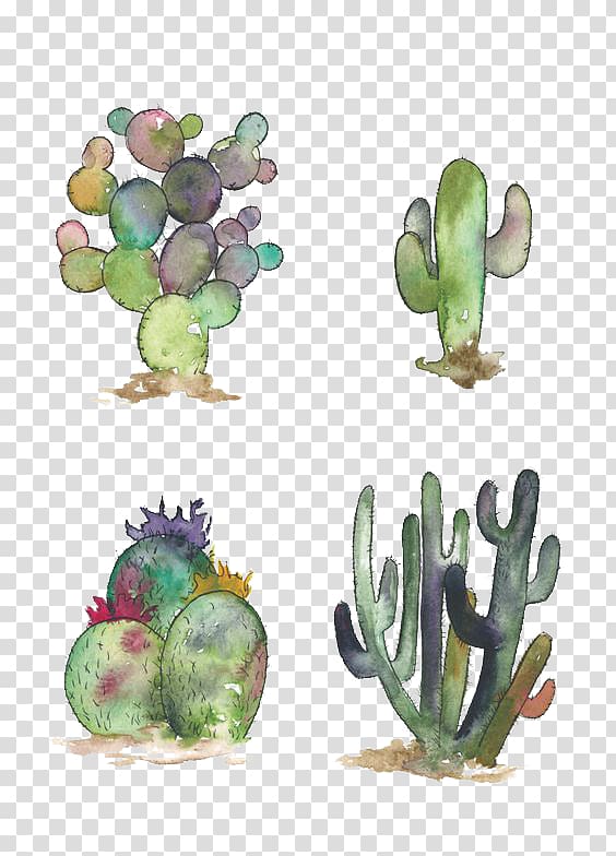 four cactus , Cactaceae Watercolor painting Opuntia engelmannii Succulent plant Illustration, cactus transparent background PNG clipart