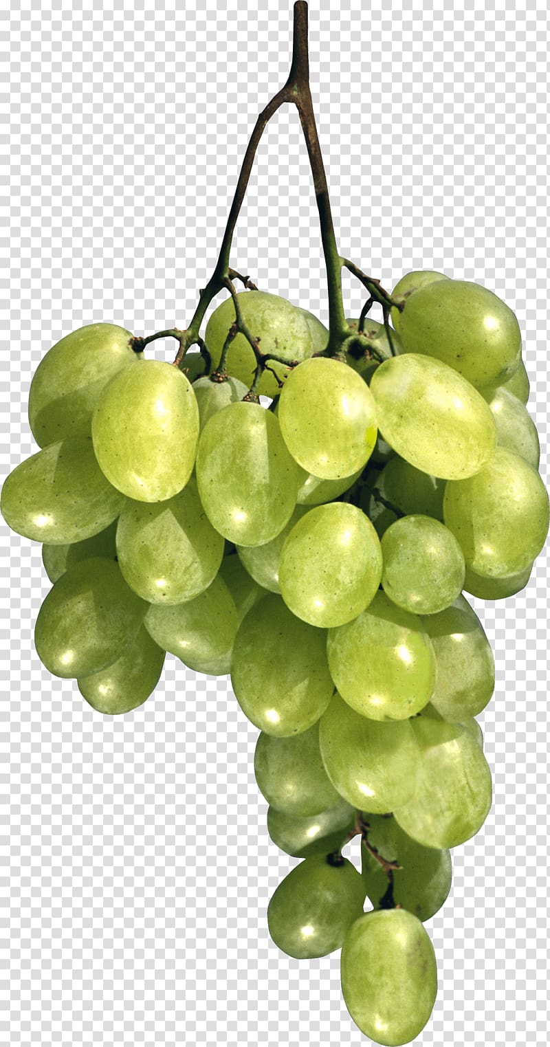 Common Grape Vine Moscow Cafe Breakfast, Green Grape transparent background PNG clipart