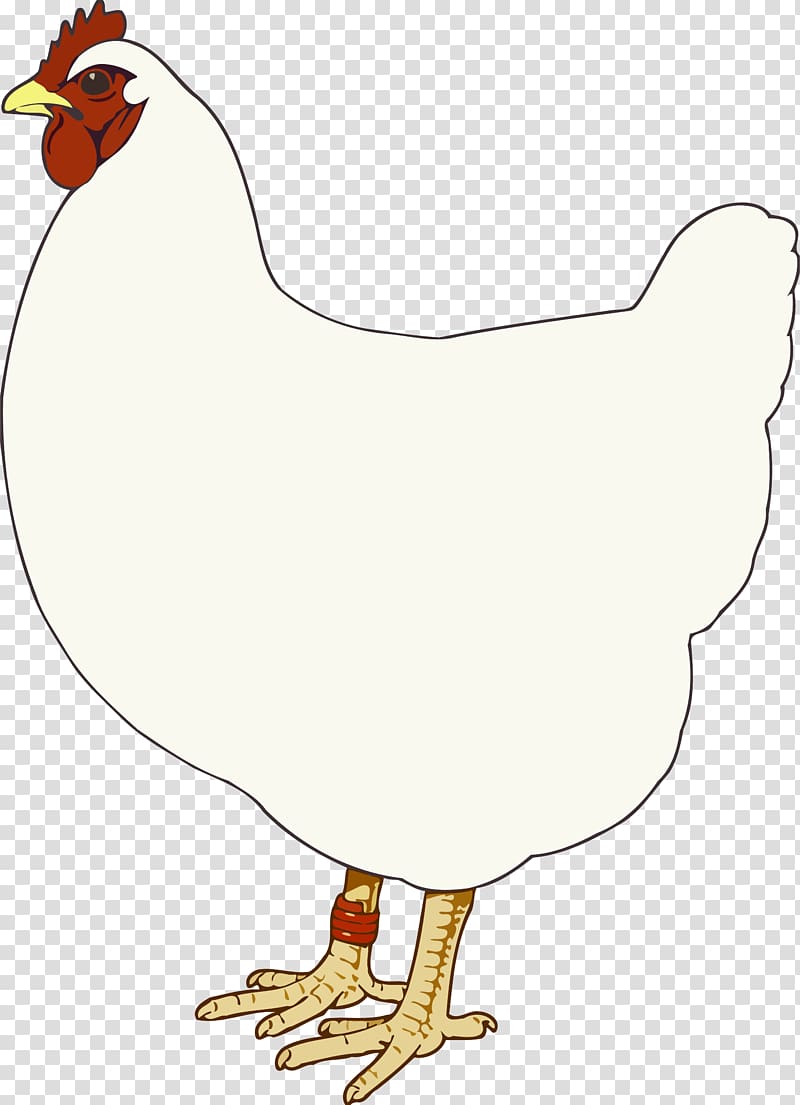 Chicken Phasianidae Man In Cast Rooster , hen transparent background PNG clipart