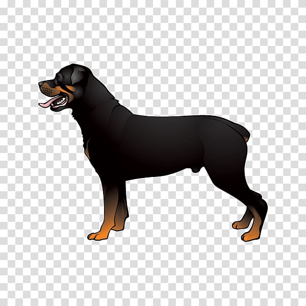 Boxer Australian Cattle Dog Rottweiler Jack Russell Terrier Cane Corso, Silhouette transparent background PNG clipart