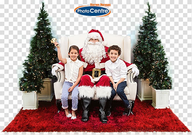 Harvey Norman Flagship Store Auburn Christmas tree Electric light Lighting, Christmas Event transparent background PNG clipart
