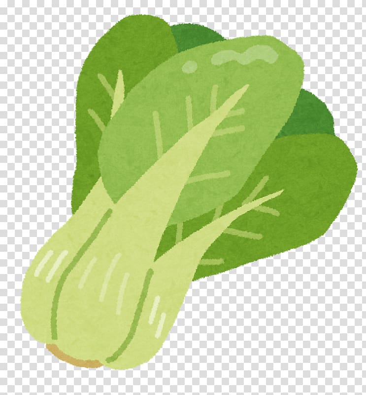 Leaf vegetable Bok choy Chinese cabbage Tatsoi 中国野菜, bok choy transparent background PNG clipart