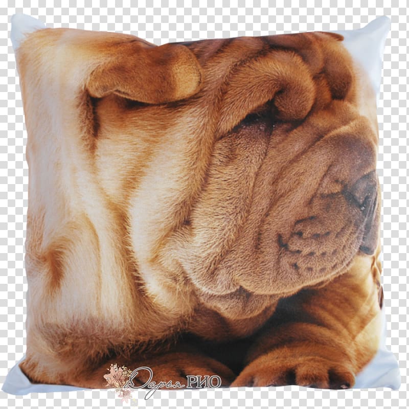 Shar Pei Ori-Pei Dog breed Pillow Cushion, pillow transparent background PNG clipart