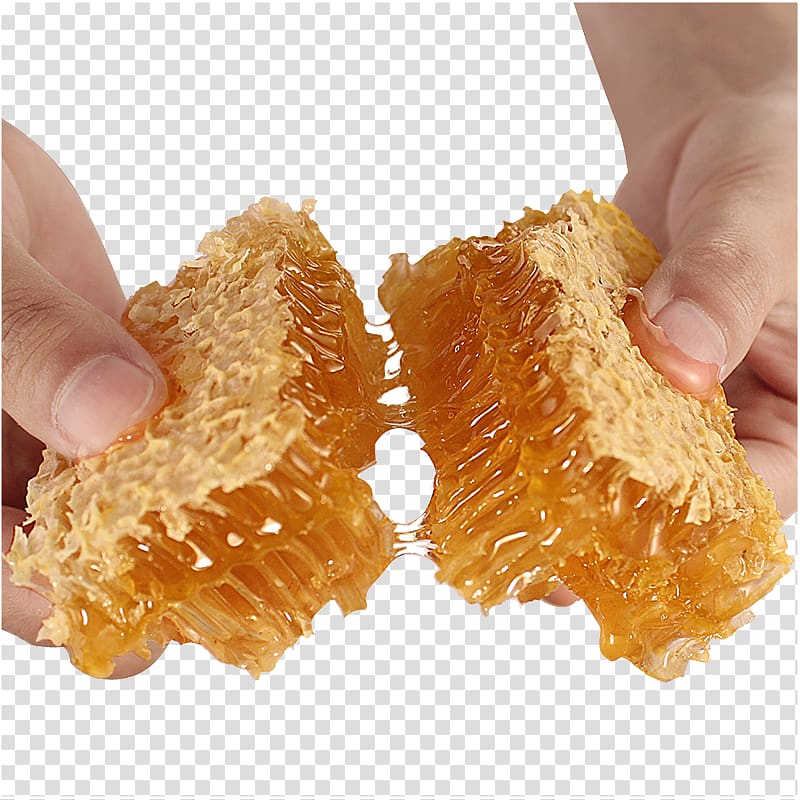 Honey bee Honeycomb Comb honey, Breaking the honeycomb transparent background PNG clipart