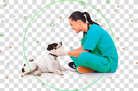 Dog Veterinarian Veterinary medicine Pet Surgery, Dog transparent background PNG clipart