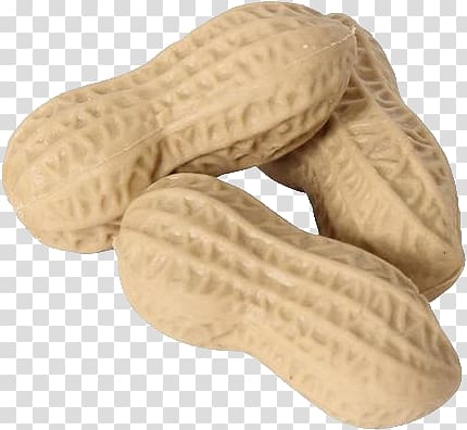 Peanut transparent background PNG clipart