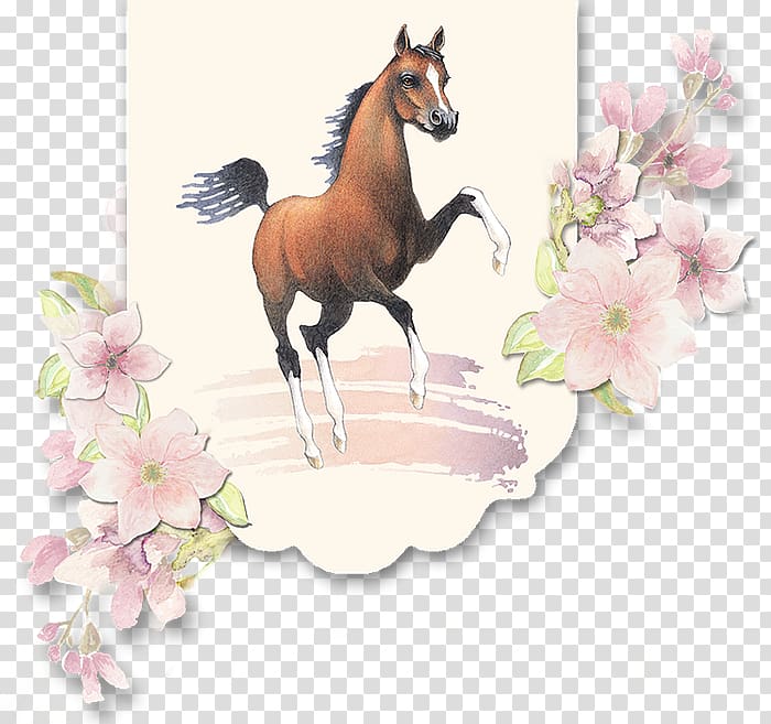 Mustang American Miniature Horse Stallion Mare Foal, mustang transparent background PNG clipart