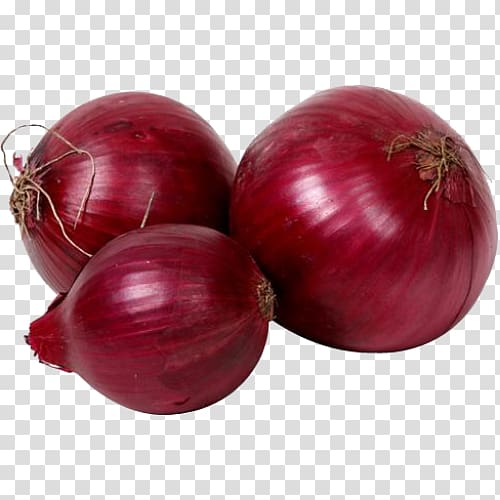 French onion soup Mandi Red onion Vegetable, onions transparent background PNG clipart