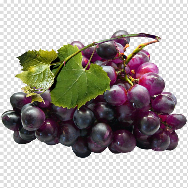 Common Grape Vine Grape seed extract Zante currant, grape transparent background PNG clipart