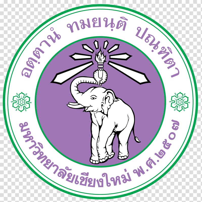 Chiang Mai University Sirindhorn International Institute of Technology Master\'s Degree Higher education, school of medicine transparent background PNG clipart