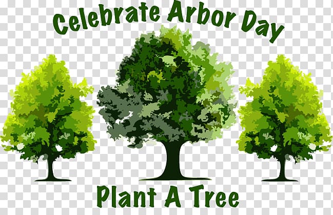 Decatur Nebraska El Cajon Arbor Day Tree, Arbor Day transparent background PNG clipart