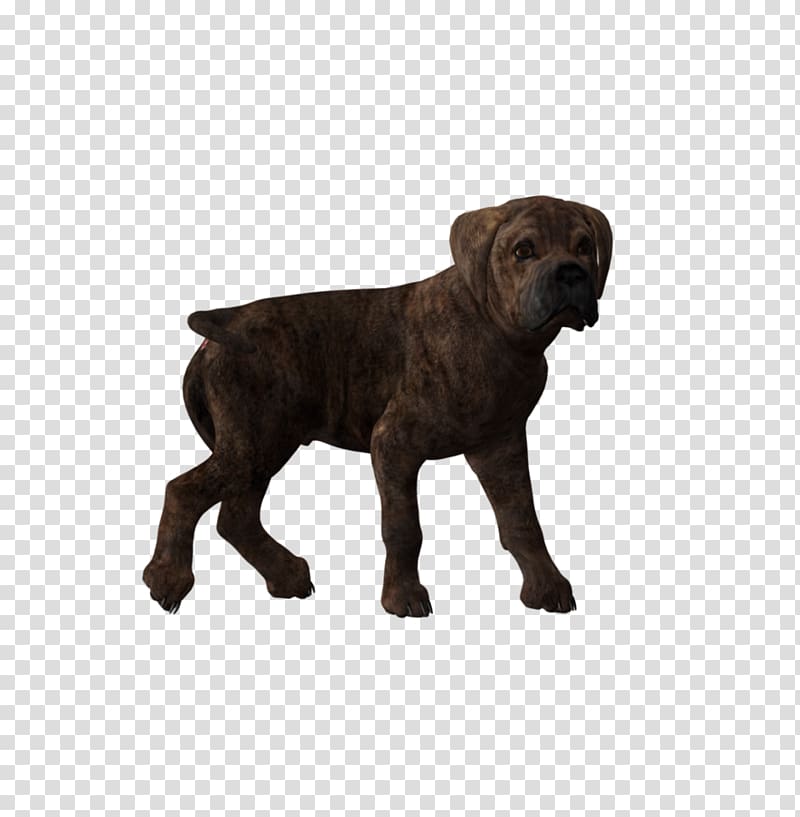 Dog breed Puppy Cane Corso Sporting Group Foal, puppy transparent background PNG clipart