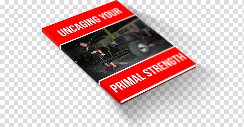 Strength training Physical strength Primal Strength Ltd Hypertrophy, others transparent background PNG clipart